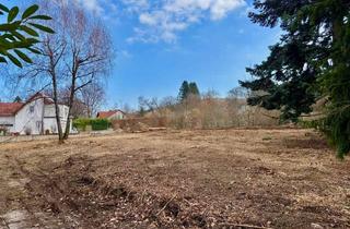 Grundstück zu kaufen in 61389 Schmitten, Sonnengrundstück in Traumlage Oberreifenbergs