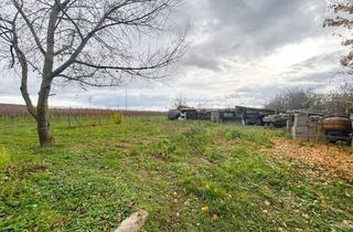 Grundstück zu kaufen in 55457 Gensingen, HIER ENTSTEHT ETWAS BESONDERES ️ Viel Raum für Neubau & individuelle Wohnkonzepte in Gensingen!