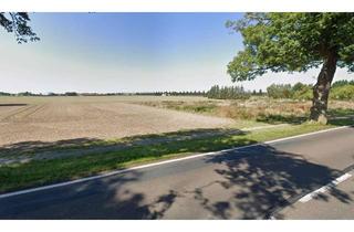 Grundstück zu kaufen in Loitzer Strasse 3c, 18516 Süderholz, von Privat: nett gelegenes Baugrundstück unweit Greifswald, Stralsund und Ostsee ! provisionsfrei !