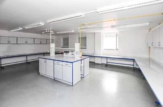 Gewerbeimmobilie kaufen in 31319 Sehnde, Büro mit ausgebautem Hallenkomplex