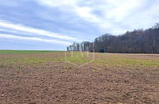 Immobilie kaufen in 31185 Söhlde, Ackerland in Söhlde