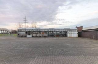 Gewerbeimmobilie mieten in 41352 Korschenbroich, HIER WÄCHST IHR NÄCHSTES KAPITEL. TREIBHAUS MIT EIGENEM GRUNDWASSER.