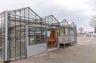 Gewerbeimmobilie mieten in 41352 Korschenbroich, HIER WÄCHST IHR NÄCHSTES KAPITEL. TREIBHAUS MIT EIGENEM GRUNDWASSER.