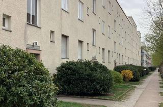 Wohnung mieten in Waldowstraße 16, 13403 Reinickendorf, Wohnglück - ansprechende 2-Zi.-Wohnung