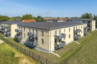 Wohnung mieten in 16356 Ahrensfelde, Großzügige 2-Zimmer Wohnung | barrierefrei | sonniger West-Balkon | in Lindenberg (Ahrensfelde)