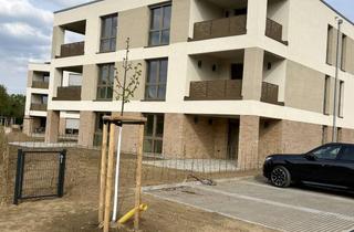 Wohnung mieten in 41844 Wegberg, Barrierefreie Neubauwohnung mit Loggia im "Maaseiker Dreieck"