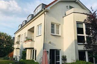 Wohnung mieten in Güstrower Straße 12, 12621 Kaulsdorf, Sonnige 2-Zimmer Wohnung im EG mit Terrasse und Souterrain in Berlin-Kaulsdorf (Hellersdorf)