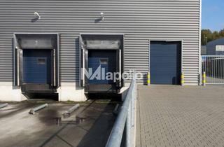 Büro zu mieten in 65203 Biebrich, Provisionsfrei! | 1.700m² Lagerfläche | Ausreichend Büroflächen | Ab sofort!