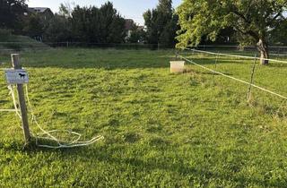 Grundstück zu kaufen in 86989 Steingaden, Baugrundstück in guter Lage in Steingaden