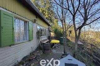 Immobilie mieten in 67808 Falkenstein, Hat Dein Hund Dir schon gesagt, dass er ein Wochenendhaus in der Natur will?