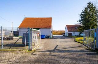 Gewerbeimmobilie kaufen in 55234 Nack, Gewerbeanwesen mit Halle, Büro & Werkstatt auf ca. 4.800 m² | Rheinhessen | Glasfaser
