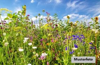 Immobilie kaufen in 63860 Rothenbuch, Bauerwartungsland im Wochenendgebiet
