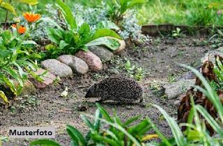 Immobilie kaufen in 41363 Jüchen, Freizeitfläche/Gartenland