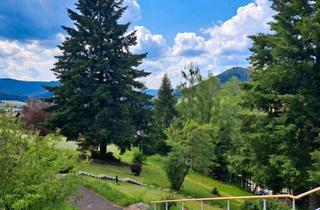 Wohnung kaufen in 72270 Baiersbronn, Baiersbronn - Liebevoll neu renoviertes Appartement im SchwarzwaldBaiersbronn