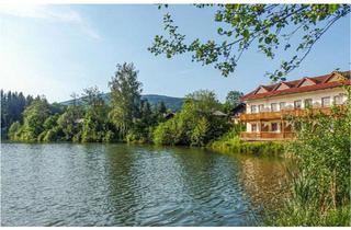 Wohnung kaufen in 93474 Arrach, Arrach - Ferienwohnung Maisonette