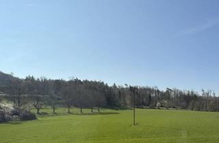 Doppelhaushälfte kaufen in 88690 Uhldingen-Mühlhofen, Uhldingen-Mühlhofen - Doppelhaushälfte in Oberuhldingen