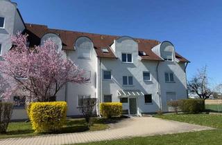 Wohnung kaufen in 89269 Vöhringen, ***Ortsrand***Dachgeschoss-Wohnung***Weitblick***
