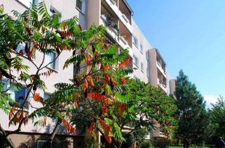 Wohnung kaufen in 07747 Lobeda, Sichere Mieteinnahmen ab dem ersten Tag – 1,5-Zimmer-Investment in Jena