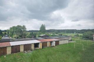 Wohnung mieten in Am Sportplatz, 19260 Vellahn, Zuhause ist: wo man schon morgens ins Grüne schaut - Frisch renovierte 3-Zimmer-Wohnung in Vellahn