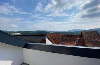 Wohnung mieten in 65817 Eppstein, Besondere Dachgeschosswohnung mit Dachterrasse in Eppstein-Bremthal