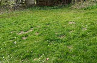 Wohnung mieten in 23847 Groß Boden, Individuelle 3-Zimmerwohnung mit Garten