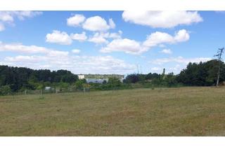 Wohnung mieten in Wolgaster Str. 16, 17440 Sauzin, gepflegte 2-Raum-Wohnung mit großer Terrasse nahe Wolgast zu vermieten