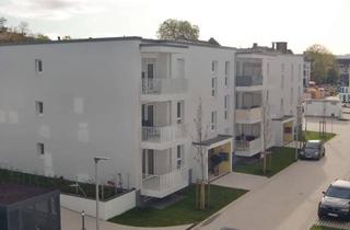 Wohnung mieten in Alte Spinnerei, 77652 Offenburg, Bequeme 2-Zimmer-Wohnung zu vermieten