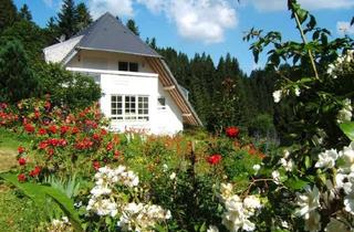 Wohnung mieten in Ravennaschlucht 45, 79874 Breitnau, Komplett möbelierte Komfortwohnung mit 2 überdachten Balkons in Aussichtslage nahe Hinterzarten