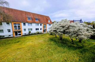 Wohnung mieten in Schillerstraße 65-75, 21502 Geesthacht, Helle sanierte 2,5-Zi-Whg mit Balkon im 1.OG in Geesthacht