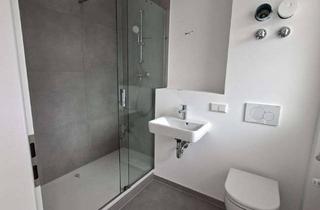 Wohnung mieten in Saalburgstraße 30-34, 61350 Bad Homburg, Neu Renovierte 1 Zimmer Wohnung mit Küche