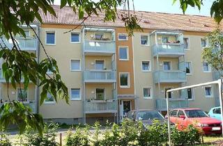 Wohnung mieten in Behringstraße 14, 02625 Bautzen, ***Wohnen im Grünen und dennoch zentrumsnah*** 3-Raum-Wohnung mit Tageslichtbad und Balkon