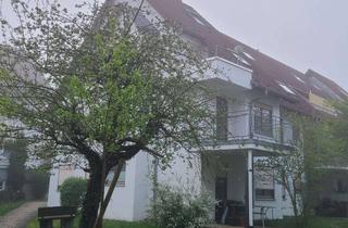 Wohnung mieten in Lange Straße 53, 70794 Filderstadt, Helle 2-Zimmer Wohnung mit Balkon im 1. OG in Filderstadt-Sielmingen