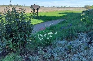 Wohnung mieten in Neue Siedlung 16, 06780 Zörbig, 2-Raum-Wohnung mit Balkon