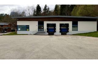 Lager mieten in Thierseestraße 198, 83088 Kiefersfelden, Lagerfläche / Produktionshalle mit LKW Laderampen zu vermieten