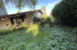Haus kaufen in Alte Poststrasse, 87660 Irsee, EFH Irsee , 127 qm Wohnfläche , Bj 80 , 795 qm Grund