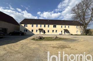 Haus kaufen in 02699 Königswartha, Solides Renditeobjekt (8%) mit großem Grundstück und 2,8ha Landwirtschaft