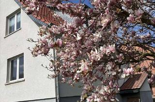 Einfamilienhaus kaufen in 37339 Teistungen, tolles Einfamilienhaus