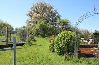 Haus kaufen in 56379 Horhausen, Haus mit großem Garten z.B. für Hundeschule