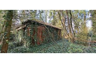 Haus kaufen in 27419 Vierden, Zivilisationsnahe Natur-Idylle . . .