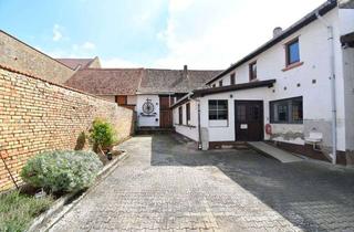 Haus kaufen in Unterwendelsheim 60, 55234 Wendelsheim, Großes Hofgut auf XXXL Grundstück mit vielen Nebengebäuden und sonnigem Garten