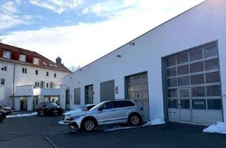 Gewerbeimmobilie mieten in Großenhainer Straße 81, 01127 Pieschen-Nord/Trachenberge, Großzügige Halle mit Verkaufsfläche und vielseitigen Nutzungsmöglichkeiten in bester Lage!