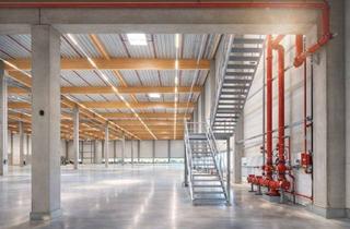 Gewerbeimmobilie mieten in 87787 Wolfertschwenden, EXKLUSIV | Nachhaltige Lager-Fläche ab 1000 m² direkt an der A7 / A96