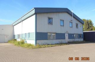 Gewerbeimmobilie mieten in 23554 St. Lorenz Nord, Halle im Gewerbegebiet