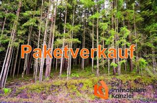 Grundstück zu kaufen in 95444 City, 45 Forstwirtschaftliche Grundstücke alle im Raum Oberfranken gelegen im Paketverkauf
