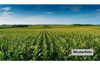 Grundstück zu kaufen in Vor Dem Borsteler Hagen, 27246 Borstel, Ackerland - provisionsfrei