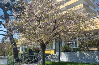 Praxen mieten in Königsbrunner Straße 39a, 86179 Haunstetten, Praxisräume in Altenpflegeeinrichtung zu vermieten.