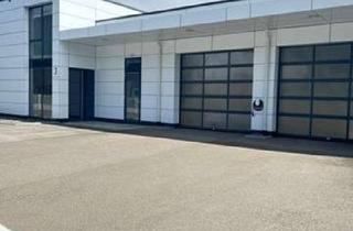 Büro zu mieten in Am Gewerbering, 78570 Mühlheim, Repräsentatives Bürogebäude mit Halle