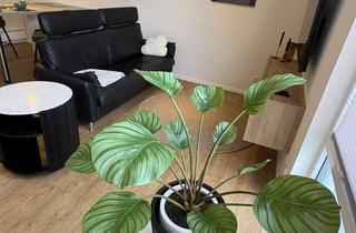 Immobilie mieten in 38112 Veltenhof, 56 qm möbliert in Braunschweig Nord