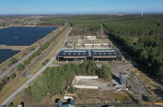 Gewerbeimmobilie kaufen in 14797 Kloster Lehnin, Über 550.000 m² Gewerbeareal mit Hallen, ehemaliger Bahnstrecke & BImSchG-Potenzial – nahe A2