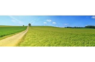 Gewerbeimmobilie kaufen in 15754 Heidesee, Top Grundstück - flexible Gestaltungmöglichkeiten